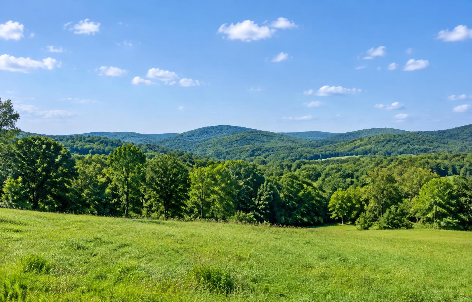 Homes in Travelers Rest, SC